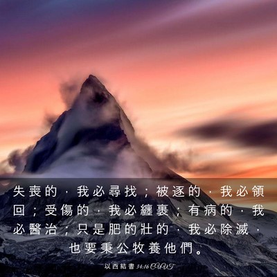 Picture 03 - 以 西 結 書 34:16 CUVT - 失 喪 的 ， 我 必 尋 找 ； 被 逐 的 - Bible Verse Picture