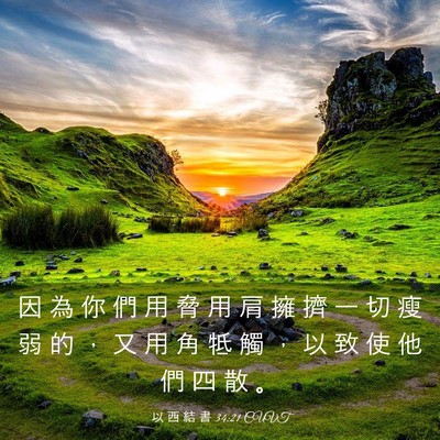 Picture 03 - 以 西 結 書 34:21 CUVT - 因 為 你 們 用 脅 用 肩 擁 擠 一 切 - Bible Verse Picture