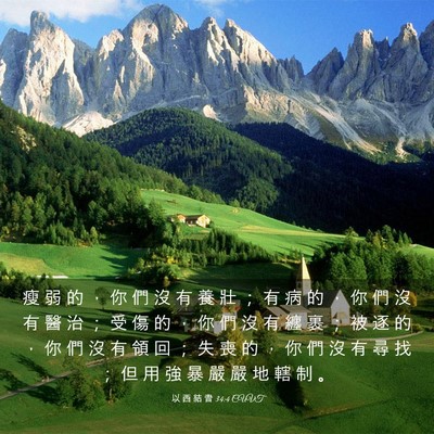 Picture 03 - 以 西 結 書 34:4 CUVT - 瘦 弱 的 ， 你 們 沒 有 養 壯 ； 有 - Bible Verse Picture
