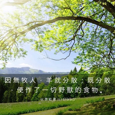 Picture 03 - 以 西 結 書 34:5 CUVT - 因 無 牧 人 ， 羊 就 分 散 ； 既 分 - Bible Verse Picture