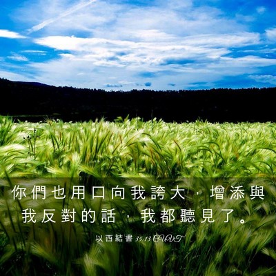 Picture 03 - 以 西 結 書 35:13 CUVT - 你 們 也 用 口 向 我 誇 大 ， 增 添 - Bible Verse Picture