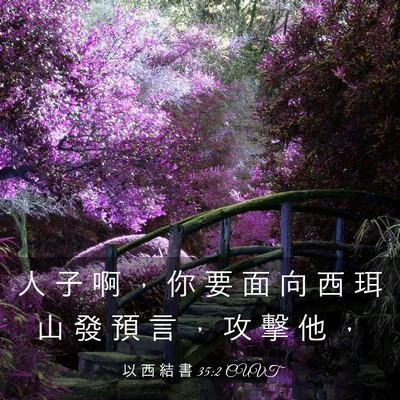 Picture 03 - 以 西 結 書 35:2 CUVT - 人 子 啊 ， 你 要 面 向 西 珥 山 發 - Bible Verse Picture