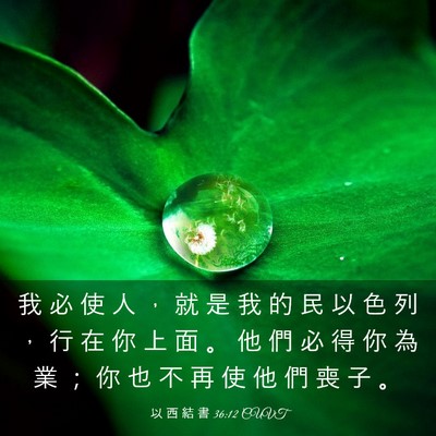 Picture 03 - 以 西 結 書 36:12 CUVT - 我 必 使 人 ， 就 是 我 的 民 以 色 - Bible Verse Picture