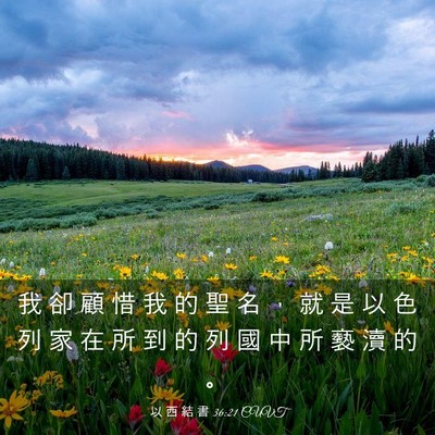 Picture 03 - 以 西 結 書 36:21 CUVT - 我 卻 顧 惜 我 的 聖 名 ， 就 是 以 - Bible Verse Picture