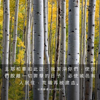 Picture 03 - 以 西 結 書 36:33 CUVT - 主 耶 和 華 如 此 說 ： 我 潔 淨 你 - Bible Verse Picture