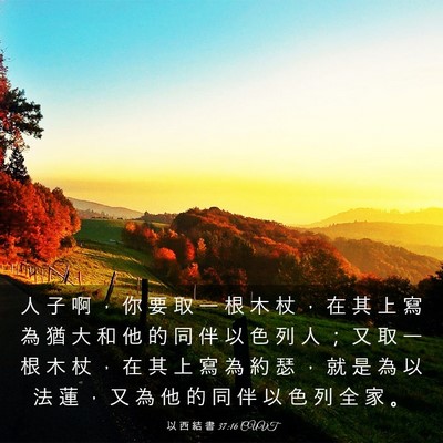 Picture 03 - 以 西 結 書 37:16 CUVT - 人 子 啊 ， 你 要 取 一 根 木 杖 ， - Bible Verse Picture