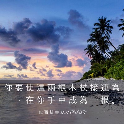 Picture 03 - 以 西 結 書 37:17 CUVT - 你 要 使 這 兩 根 木 杖 接 連 為 一 - Bible Verse Picture