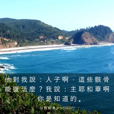 Picture 03 - 以 西 結 書 37:3 CUVT - 他 對 我 說 ： 人 子 啊 ， 這 些 骸 - Bible Verse Picture