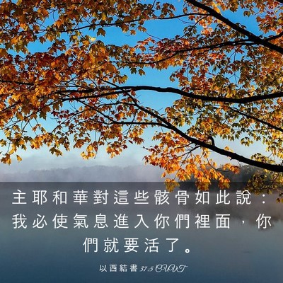 Picture 03 - 以 西 結 書 37:5 CUVT - 主 耶 和 華 對 這 些 骸 骨 如 此 說 - Bible Verse Picture