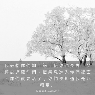Picture 03 - 以 西 結 書 37:6 CUVT - 我 必 給 你 們 加 上 筋 ， 使 你 們 - Bible Verse Picture