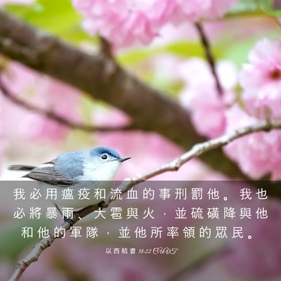 Picture 03 - 以 西 結 書 38:22 CUVT - 我 必 用 瘟 疫 和 流 血 的 事 刑 罰 - Bible Verse Picture