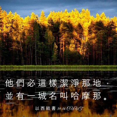 Picture 03 - 以 西 結 書 39:16 CUVT - 他 們 必 這 樣 潔 淨 那 地 ， 並 有 - Bible Verse Picture
