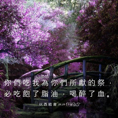 Picture 03 - 以 西 結 書 39:19 CUVT - 你 們 吃 我 為 你 們 所 獻 的 祭 ， - Bible Verse Picture