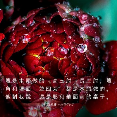Picture 03 - 以 西 結 書 41:22 CUVT - 壇 是 木 頭 做 的 ， 高 三 肘 ， 長 - Bible Verse Picture