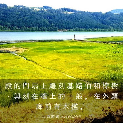 Picture 03 - 以 西 結 書 41:25 CUVT - 殿 的 門 扇 上 雕 刻 基 路 伯 和 棕 - Bible Verse Picture