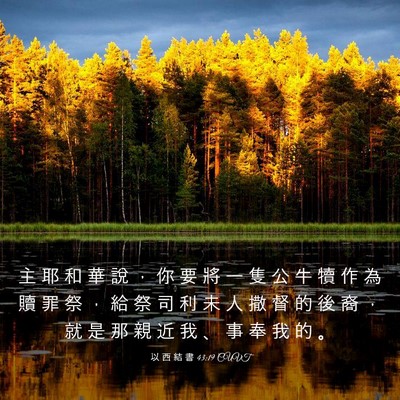 Picture 03 - 以 西 結 書 43:19 CUVT - 主 耶 和 華 說 ， 你 要 將 一 隻 公 - Bible Verse Picture