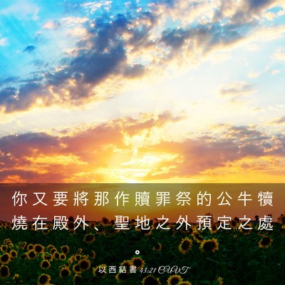 Picture 03 - 以 西 結 書 43:21 CUVT - 你 又 要 將 那 作 贖 罪 祭 的 公 牛 - Bible Verse Picture