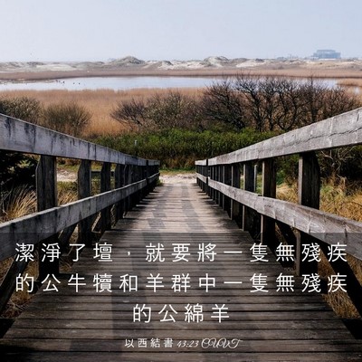 Picture 03 - 以 西 結 書 43:23 CUVT - 潔 淨 了 壇 ， 就 要 將 一 隻 無 殘 - Bible Verse Picture