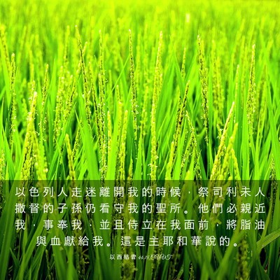 Picture 03 - 以 西 結 書 44:15 CUVT - 以 色 列 人 走 迷 離 開 我 的 時 候 - Bible Verse Picture
