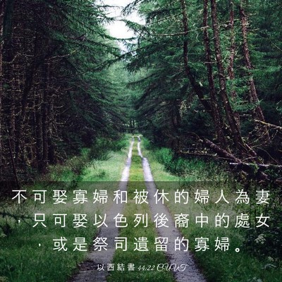 Picture 03 - 以 西 結 書 44:22 CUVT - 不 可 娶 寡 婦 和 被 休 的 婦 人 為 - Bible Verse Picture