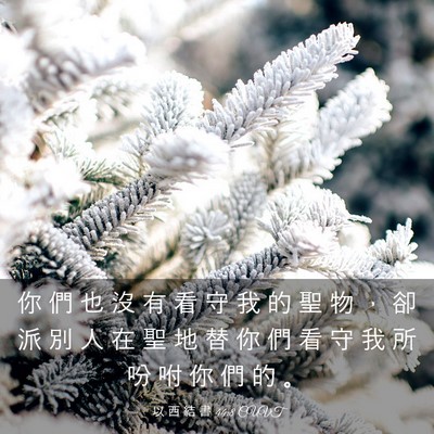 Picture 03 - 以 西 結 書 44:8 CUVT - 你 們 也 沒 有 看 守 我 的 聖 物 ， - Bible Verse Picture