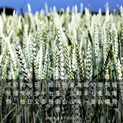 Picture 03 - 以 西 結 書 45:23 CUVT - 這 節 的 七 日 ， 每 日 他 要 為 耶 - Bible Verse Picture