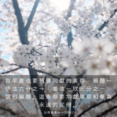 Picture 03 - 以 西 結 書 46:14 CUVT - 每 早 晨 也 要 預 備 同 獻 的 素 祭 - Bible Verse Picture