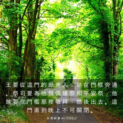 Picture 03 - 以 西 結 書 46:2 CUVT - 王 要 從 這 門 的 廊 進 入 ， 站 在 - Bible Verse Picture