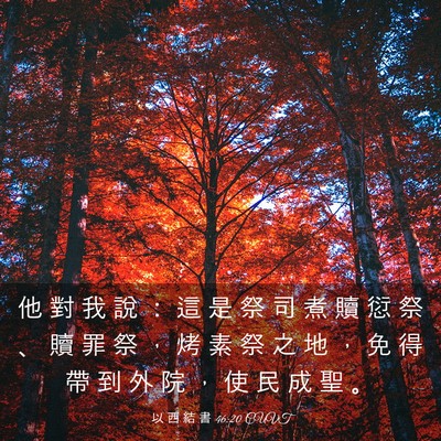 Picture 03 - 以 西 結 書 46:20 CUVT - 他 對 我 說 ： 這 是 祭 司 煮 贖 愆 - Bible Verse Picture