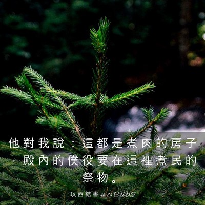 Picture 03 - 以 西 結 書 46:24 CUVT - 他 對 我 說 ： 這 都 是 煮 肉 的 房 - Bible Verse Picture