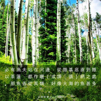Picture 03 - 以 西 結 書 47:10 CUVT - 必 有 漁 夫 站 在 河 邊 ， 從 隱 基 - Bible Verse Picture