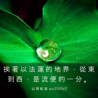 Picture 03 - 以 西 結 書 48:6 CUVT - 挨 著 以 法 蓮 的 地 界 ， 從 東 到 - Bible Verse Picture