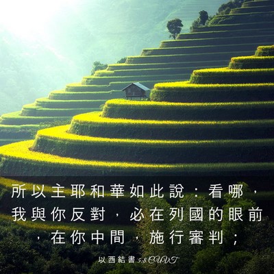 Picture 03 - 以 西 結 書 5:8 CUVT - 所 以 主 耶 和 華 如 此 說 ： 看 哪 - Bible Verse Picture