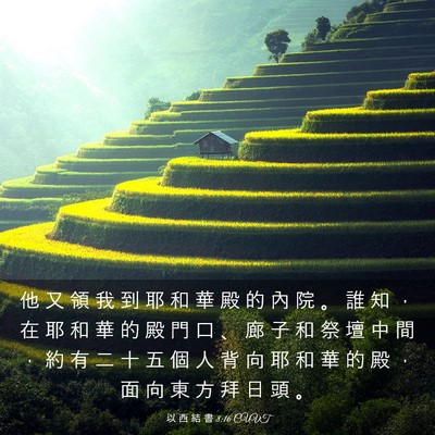 Picture 03 - 以 西 結 書 8:16 CUVT - 他 又 領 我 到 耶 和 華 殿 的 內 院 - Bible Verse Picture
