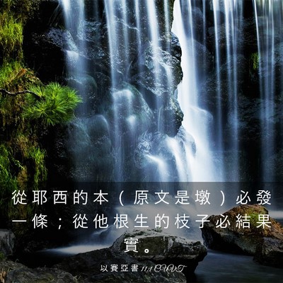 Picture 03 - 以 賽 亞 書 11:1 CUVT - 從 耶 西 的 本 （ 原 文 是 墩 ） 必 - Bible Verse Picture