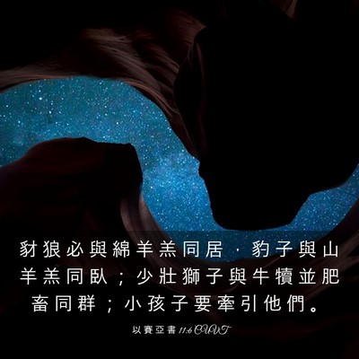 Picture 03 - 以 賽 亞 書 11:6 CUVT - 豺 狼 必 與 綿 羊 羔 同 居 ， 豹 子 - Bible Verse Picture