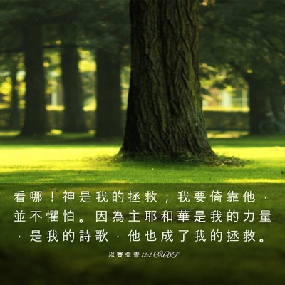 Picture 03 - 以 賽 亞 書 12:2 CUVT - 看 哪 ！ 神 是 我 的 拯 救 ； 我 要 - Bible Verse Picture