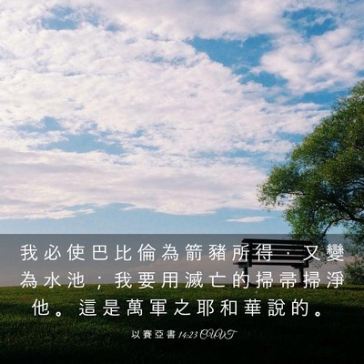 Picture 03 - 以 賽 亞 書 14:23 CUVT - 我 必 使 巴 比 倫 為 箭 豬 所 得 ， - Bible Verse Picture