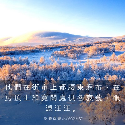 Picture 03 - 以 賽 亞 書 15:3 CUVT - 他 們 在 街 市 上 都 腰 束 麻 布 ， - Bible Verse Picture