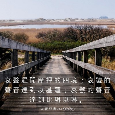 Picture 03 - 以 賽 亞 書 15:8 CUVT - 哀 聲 遍 聞 摩 押 的 四 境 ； 哀 號 - Bible Verse Picture