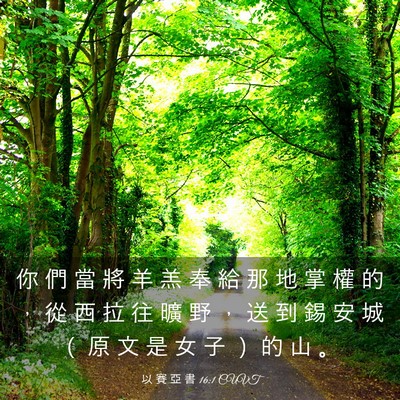 Picture 03 - 以 賽 亞 書 16:1 CUVT - 你 們 當 將 羊 羔 奉 給 那 地 掌 權 - Bible Verse Picture