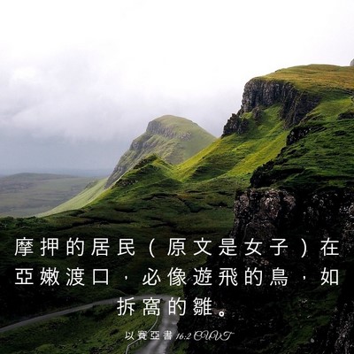 Picture 03 - 以 賽 亞 書 16:2 CUVT - 摩 押 的 居 民 （ 原 文 是 女 子 ） - Bible Verse Picture