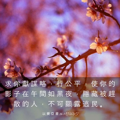Picture 03 - 以 賽 亞 書 16:3 CUVT - 求 你 獻 謀 略 ， 行 公 平 ， 使 你 - Bible Verse Picture