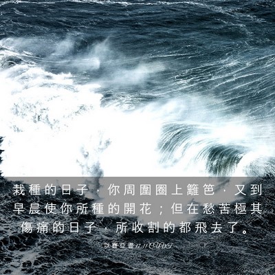 Picture 03 - 以 賽 亞 書 17:11 CUVT - 栽 種 的 日 子 ， 你 周 圍 圈 上 籬 - Bible Verse Picture