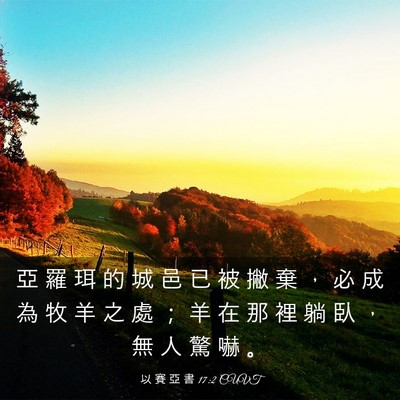 Picture 03 - 以 賽 亞 書 17:2 CUVT - 亞 羅 珥 的 城 邑 已 被 撇 棄 ， 必 - Bible Verse Picture