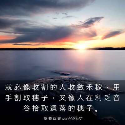 Picture 03 - 以 賽 亞 書 17:5 CUVT - 就 必 像 收 割 的 人 收 斂 禾 稼 ， - Bible Verse Picture