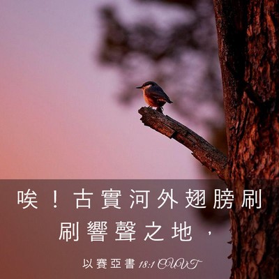 Picture 03 - 以 賽 亞 書 18:1 CUVT - 唉 ！ 古 實 河 外 翅 膀 刷 刷 響 聲 - Bible Verse Picture