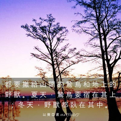 Picture 03 - 以 賽 亞 書 18:6 CUVT - 都 要 撇 給 山 間 的 鷙 鳥 和 地 上 - Bible Verse Picture