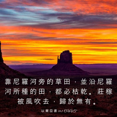 Picture 03 - 以 賽 亞 書 19:7 CUVT - 靠 尼 羅 河 旁 的 草 田 ， 並 沿 尼 - Bible Verse Picture