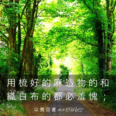 Picture 03 - 以 賽 亞 書 19:9 CUVT - 用 梳 好 的 麻 造 物 的 和 織 白 布 - Bible Verse Picture